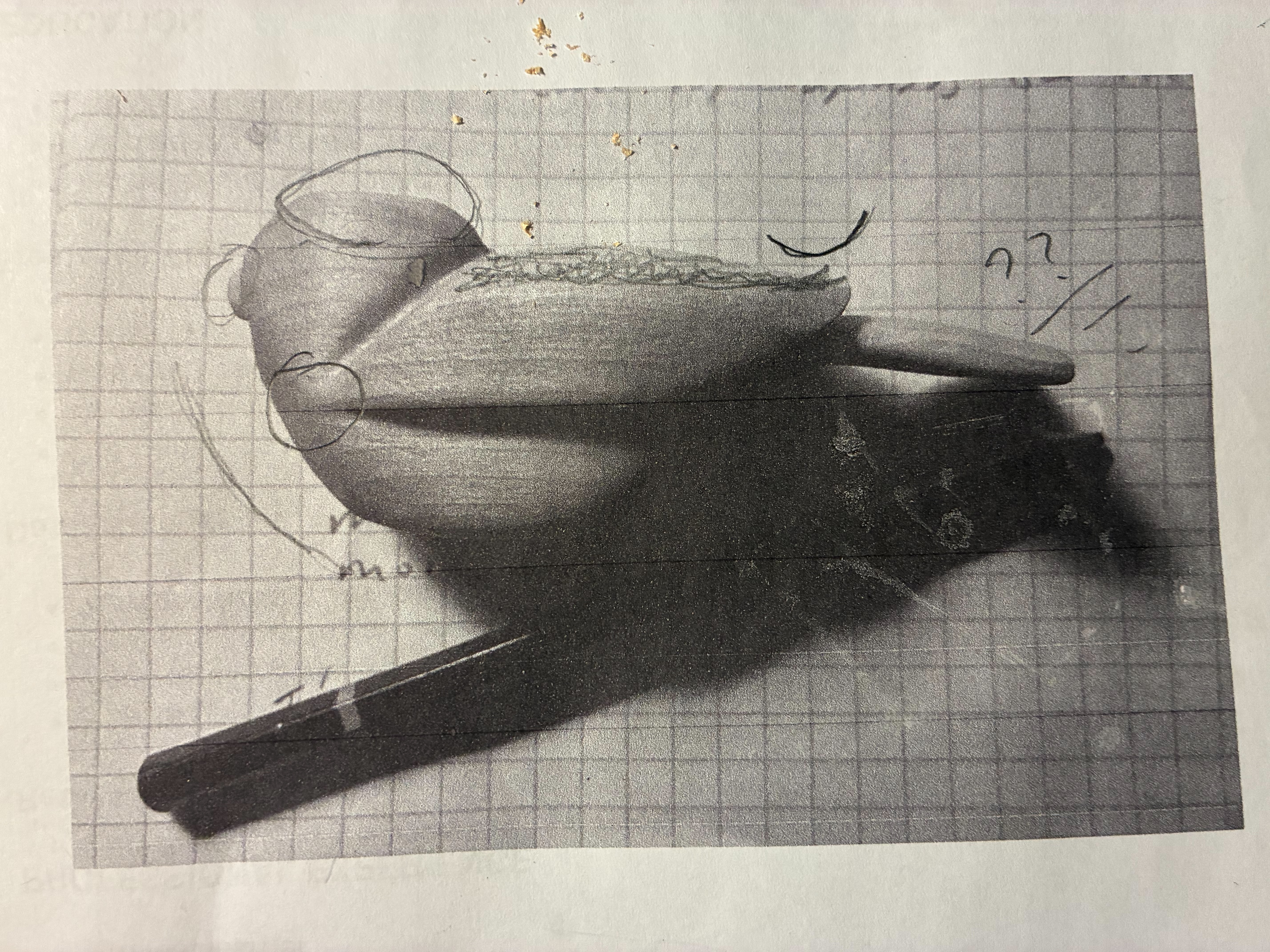 Description 2